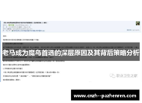 老马成为魔鸟首选的深层原因及其背后策略分析