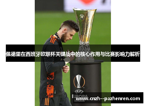 佩德里在西班牙欧联杯关键战中的核心作用与比赛影响力解析